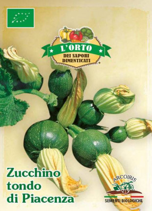 Zucchino Tondo Scuro di Piacenza - Sementi Biologiche