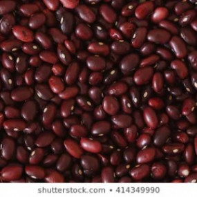 Azuki Red 1 Kg - Arcoiris organic seeds