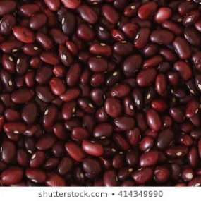 Azuki Red 25 Kg - Arcoiris organic and biodynamic seeds(2)