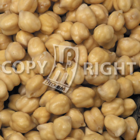 Chickpea Wrinkled - Organic Seeds