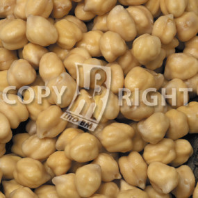 Chick pea wrinkled var. Pascià 25 kg - Arcoiris organic seeds