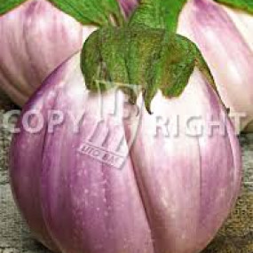 Eggplant Round White Shaded Pink - Organic Seeds