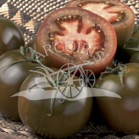 Tomato Noire de Crimée 1 g - Arcoiris organic and biodynamic seeds